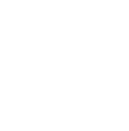 Bolewood Capital